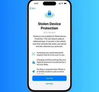 巴州苹果授权维修店分享被盗设备保护功能开启方法 