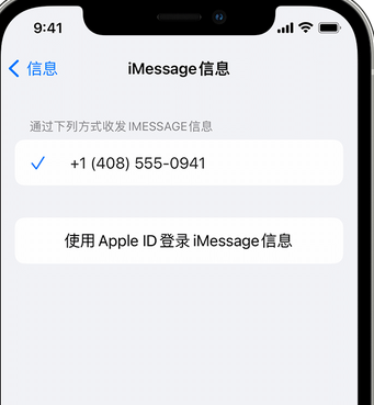 巴州apple维修iPhone上无法正常发送iMessage信息 