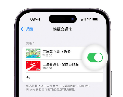 巴州apple维修点分享iPhone上更换Apple Pay快捷交通卡手绘卡面 