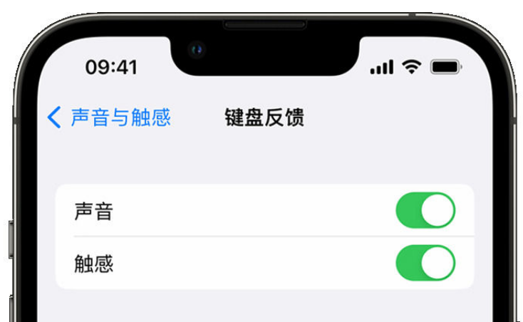 巴州苹果手机维修分享iPhone 14触感键盘使用方法 