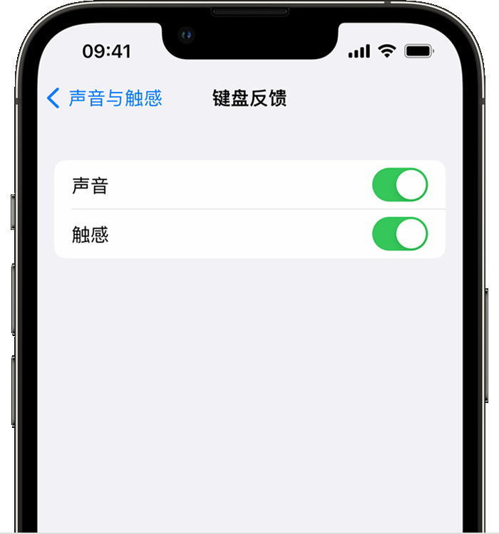 巴州苹果14维修店分享如何在 iPhone 14 机型中使用触感键盘 