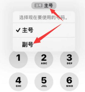 巴州苹果14维修店分享iPhone 14 Pro Max使用副卡打电话的方法 