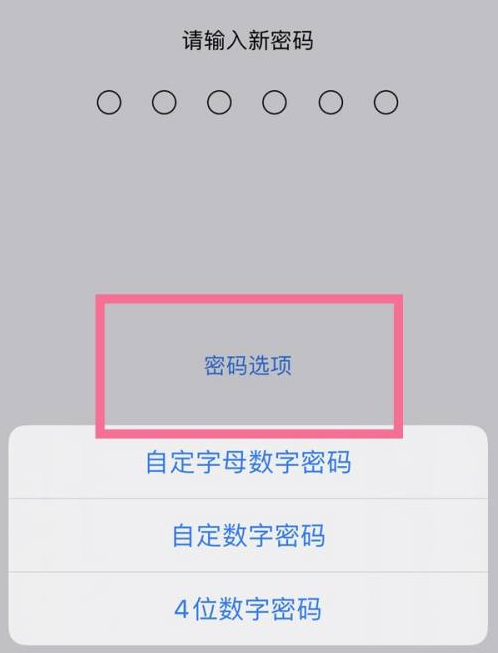 巴州苹果14维修分享iPhone 14plus设置密码的方法 