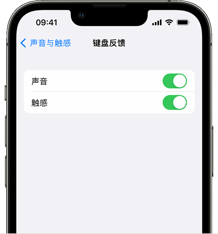 巴州苹果14维修分享iPhone 14 系列机型如何开启键盘声音或触感反馈 