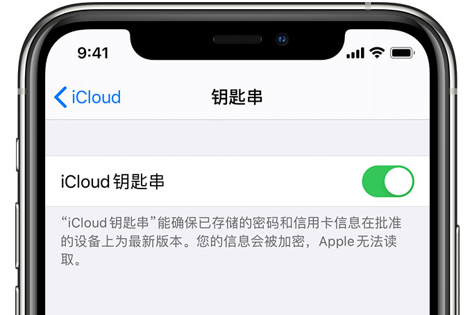 巴州苹果手机维修分享在 iPhone 上开启 iCloud 钥匙串之后会储存哪些信息 