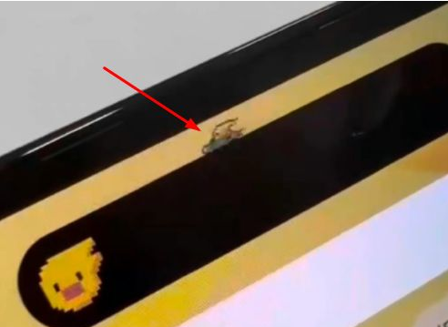 巴州苹果14维修分享iPhone 14 Pro Max灵动岛怎么养宠物 