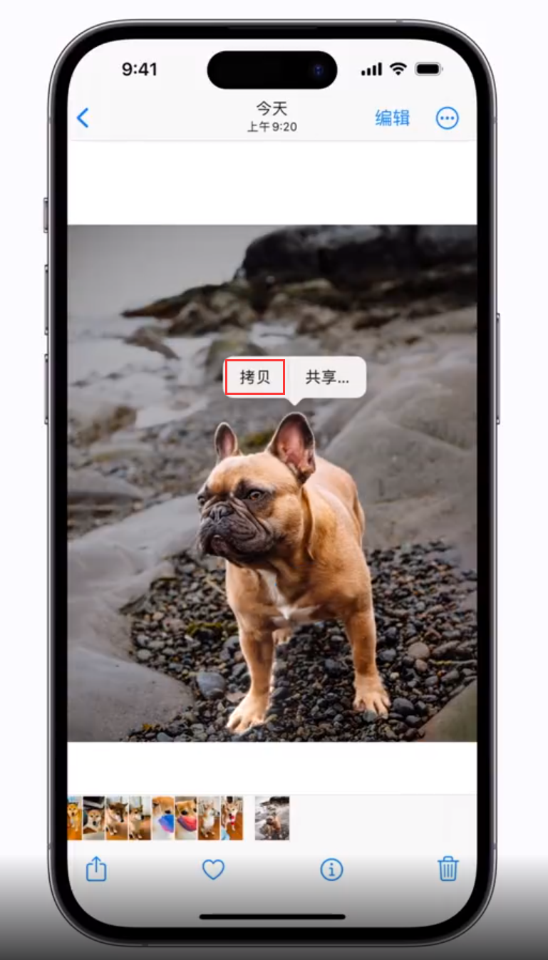 巴州苹果手机维修分享 iOS 16 自带一键抠图功能 