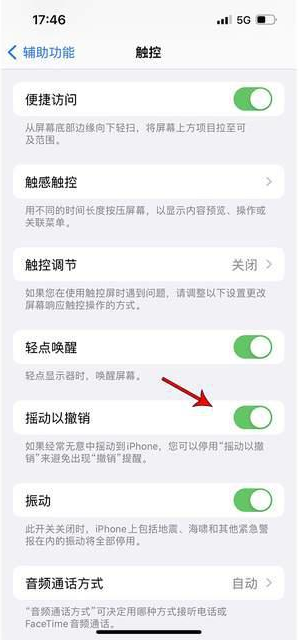 巴州苹果手机维修分享iPhone手机如何设置摇一摇删除文字 