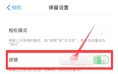 巴州苹果13维修分享iPhone13拍照有绿点是怎么回事 